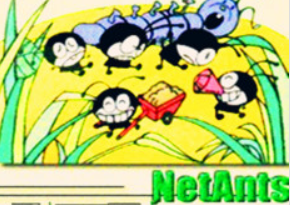 Netants