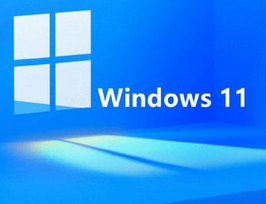 Windows 11