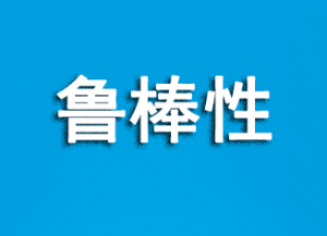 鲁棒性